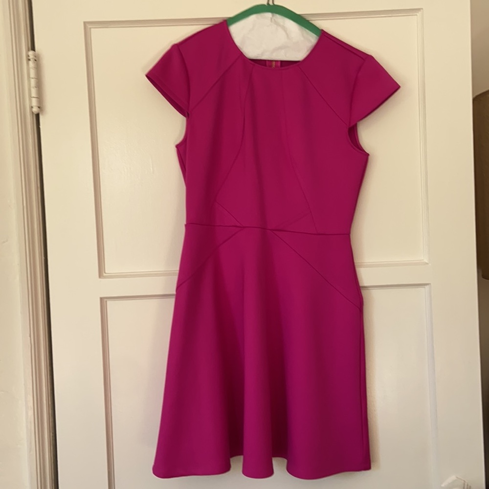Ted Baker Pink Neoprene Skater Cocktail Dress - Picture 3 of 6